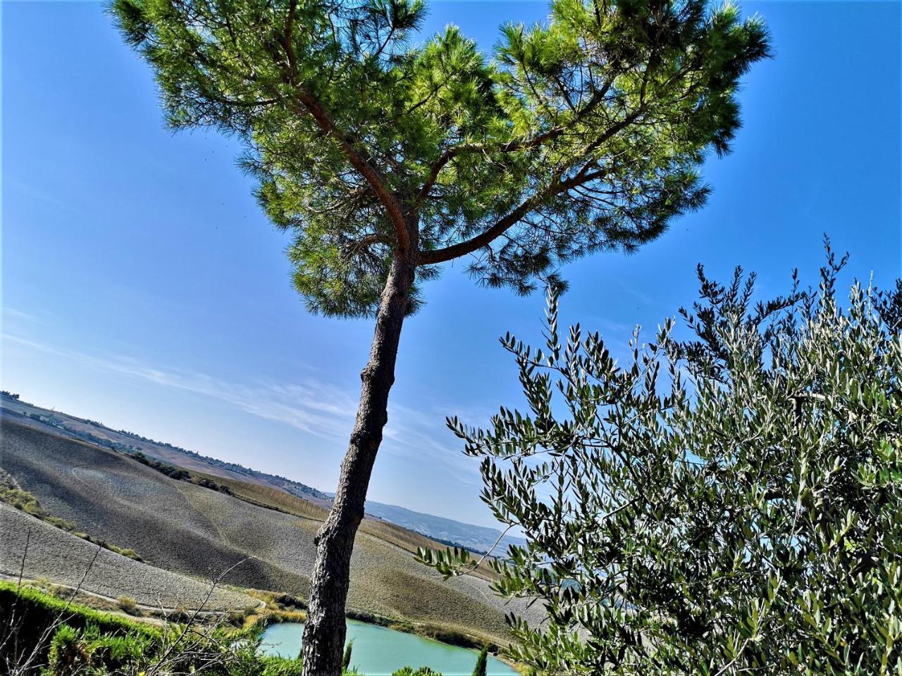 Agriturismo Palazzo Conti - B Pienza Extérieur photo