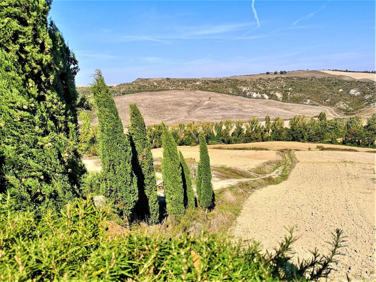 Agriturismo Palazzo Conti - B Pienza Extérieur photo